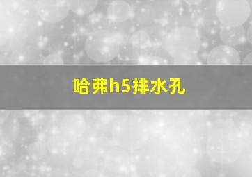 哈弗h5排水孔