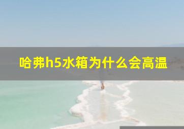 哈弗h5水箱为什么会高温