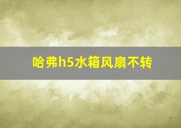 哈弗h5水箱风扇不转