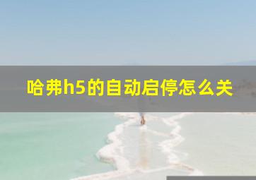 哈弗h5的自动启停怎么关