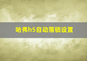 哈弗h5自动落锁设置