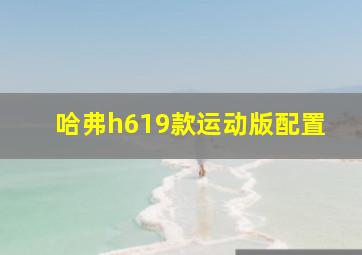 哈弗h619款运动版配置