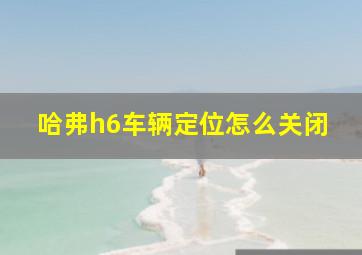 哈弗h6车辆定位怎么关闭