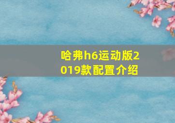 哈弗h6运动版2019款配置介绍