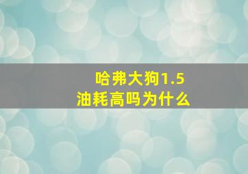 哈弗大狗1.5油耗高吗为什么