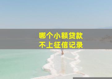 哪个小额贷款不上征信记录