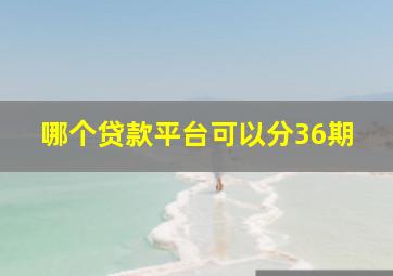 哪个贷款平台可以分36期