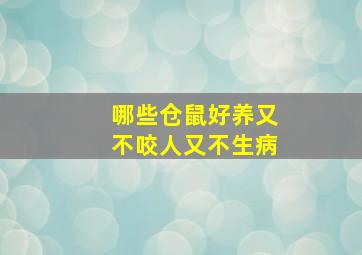 哪些仓鼠好养又不咬人又不生病