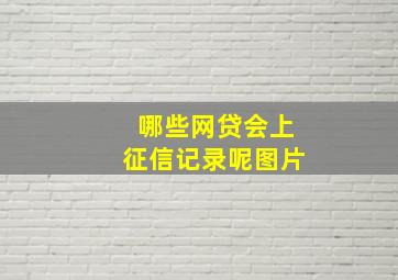 哪些网贷会上征信记录呢图片