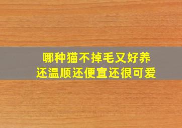 哪种猫不掉毛又好养还温顺还便宜还很可爱