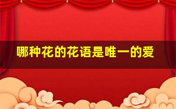 哪种花的花语是唯一的爱