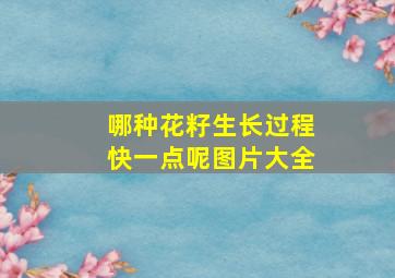 哪种花籽生长过程快一点呢图片大全