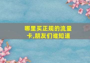 哪里买正规的流量卡,朋友们谁知道