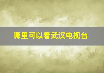 哪里可以看武汉电视台