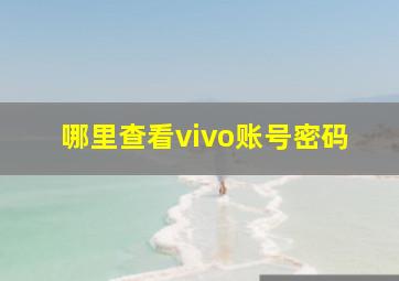 哪里查看vivo账号密码