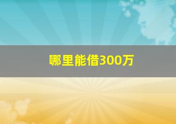 哪里能借300万