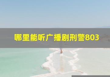 哪里能听广播剧刑警803