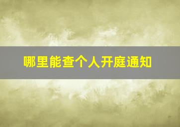 哪里能查个人开庭通知