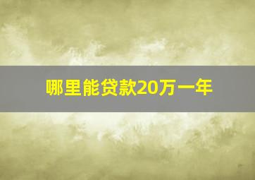 哪里能贷款20万一年