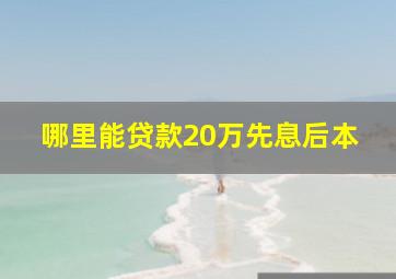 哪里能贷款20万先息后本