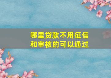 哪里贷款不用征信和审核的可以通过