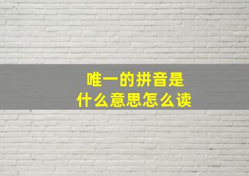 唯一的拼音是什么意思怎么读