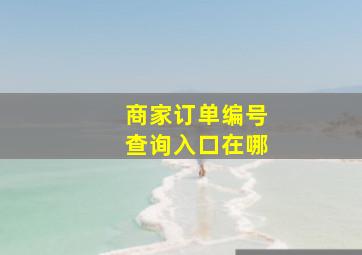 商家订单编号查询入口在哪