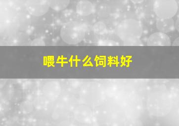 喂牛什么饲料好