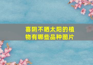 喜阴不晒太阳的植物有哪些品种图片