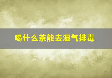 喝什么茶能去湿气排毒