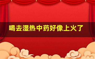 喝去湿热中药好像上火了