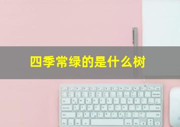 四季常绿的是什么树