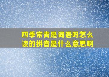 四季常青是词语吗怎么读的拼音是什么意思啊