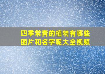 四季常青的植物有哪些图片和名字呢大全视频