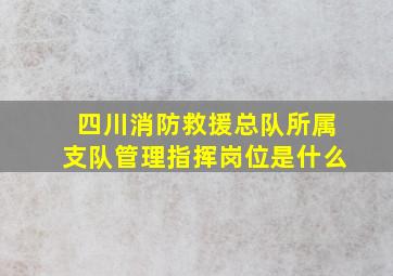 四川消防救援总队所属支队管理指挥岗位是什么