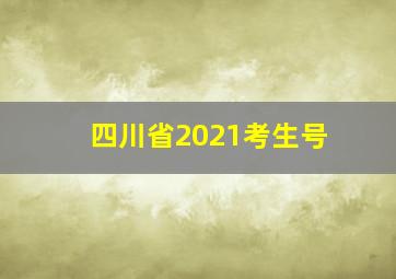 四川省2021考生号