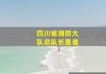 四川省消防大队总队长是谁