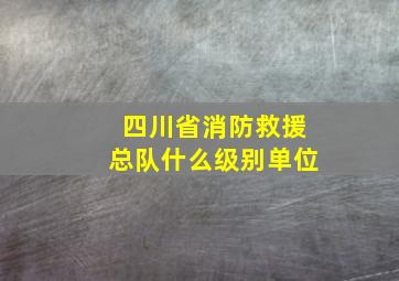 四川省消防救援总队什么级别单位