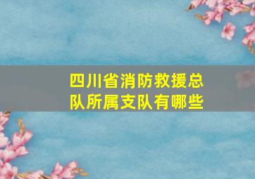 四川省消防救援总队所属支队有哪些