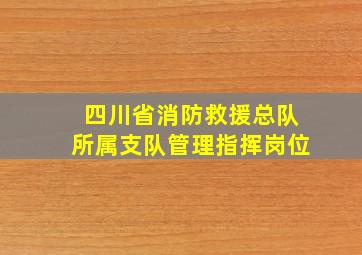 四川省消防救援总队所属支队管理指挥岗位