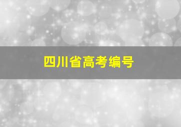 四川省高考编号