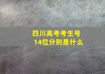 四川高考考生号14位分别是什么