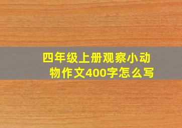 四年级上册观察小动物作文400字怎么写