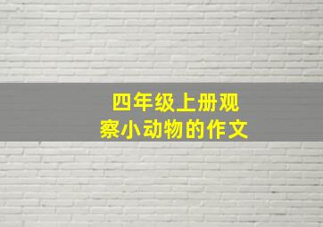 四年级上册观察小动物的作文