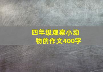 四年级观察小动物的作文400字