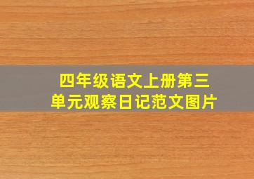 四年级语文上册第三单元观察日记范文图片