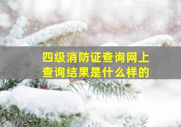 四级消防证查询网上查询结果是什么样的