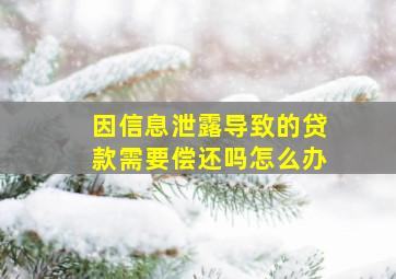 因信息泄露导致的贷款需要偿还吗怎么办