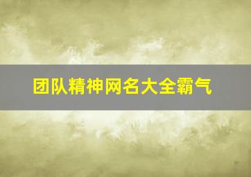 团队精神网名大全霸气