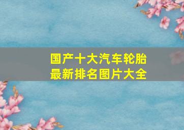 国产十大汽车轮胎最新排名图片大全